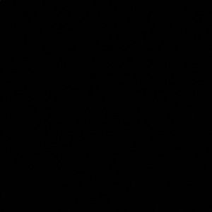 Meet your Posher, Angelo